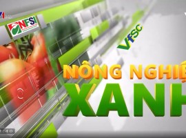 Nông nghiệp xanh - 12/6/2022